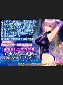 Destroyed Wall of Snowflakes - The Beautiful Shielder