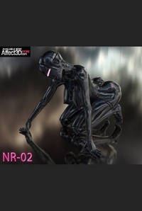 NR-02