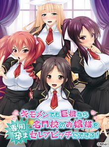 Kimomen Demo Kyokon nara Meimonkou no Ojou-sama o Senyou Harama-Celeb Bitch ni Dekiru!