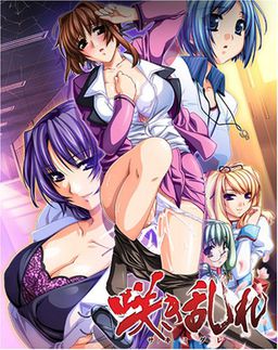 Sakimidare