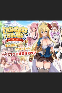 Princess Project cover cover