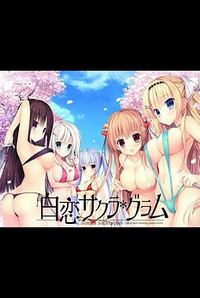 Shirokoi Sakura * Gram