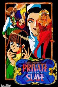 Private Slave cover cover