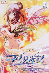 Flugel ~Yakusoku no Aozora no Shita e~