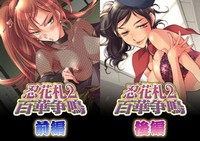 Shinobi Hanafuda 2 Hyakka Soumei