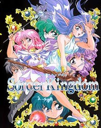 Sorcer Kingdom cover cover