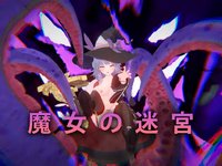 The Witchs Labyrinth