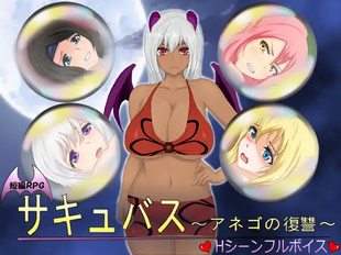 Succubus ~Anego no Fukushuu~