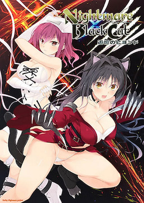 Nightmare x BlackCat ~Tsuioku no Beyond~